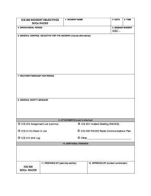 Ics 202  Form