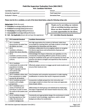 Supervisor Evaluation Form