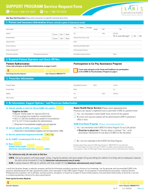  Support Program Form