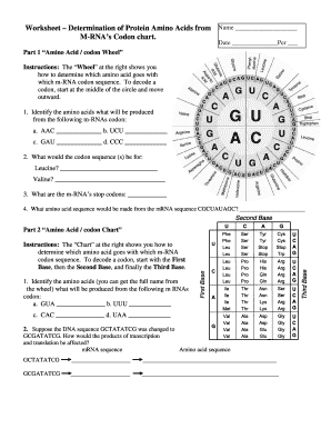 Amino Acid Worksheet  Form