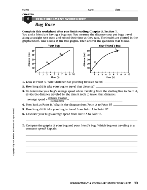 CHAPTER 5 REINFORCEMENT WORKSHEET Bug Race Pleasval K12 Ia  Form