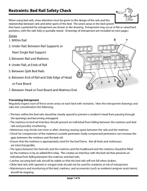 Restraints Bed Rail Safety Check Primaris  Form