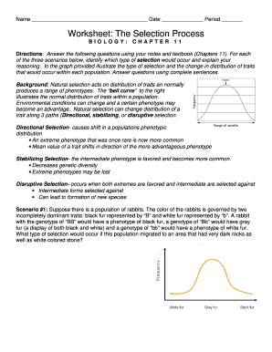 Worksheet the Selection Process Answer Key  Form