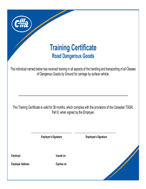 Tdg Certificate Template  Form