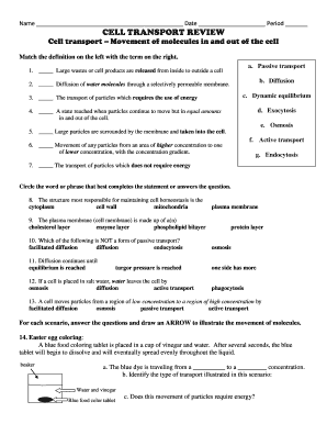 CELL TRANSPORT WORKSHEET TypePad  Form