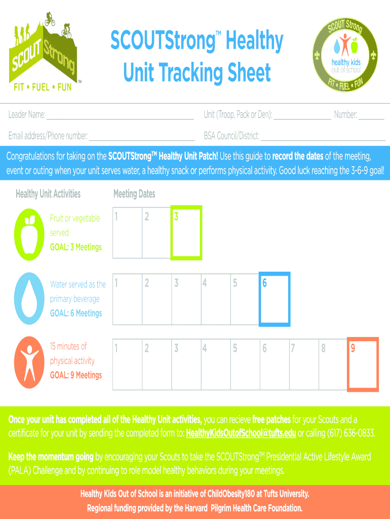 Scoutstrong Healthy Unit Form