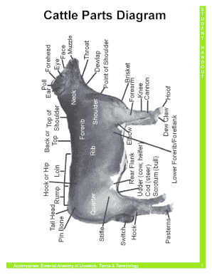 Cattle Parts Diagram  Form