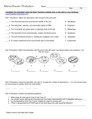 Mitosis Practice Worksheet  Form