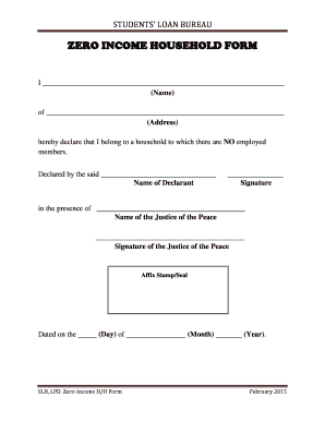  Zero Income Statement Template 2015