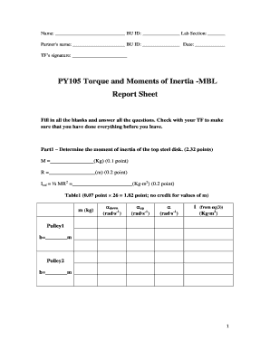 Torque Report Template  Form