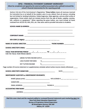 Bpss Financial Summary Worksheet Download  Form