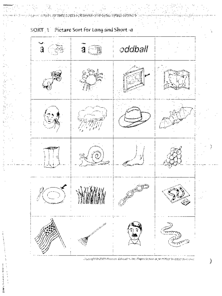 Words Their Way Sorts Yellow Book PDF  Form