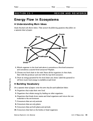 Energy Flow in Ecosystems Answer Key  Form