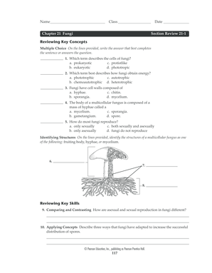 Chapter 21 Fungi Vocabulary Review  Form