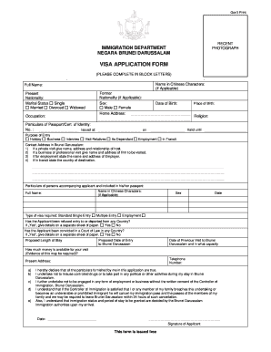 brunei visit visa form