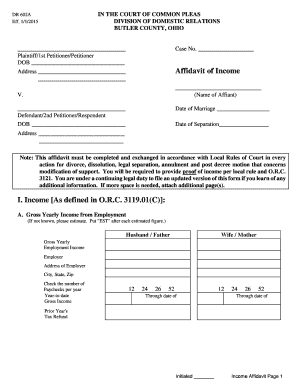 DR602 a Affidavit of Income Butler County Court of Butlercountydrcourt  Form
