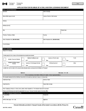 APPLICATION for RE ISSUE of a CIVIL AVIATION LICENSING DOCUMENT  Form