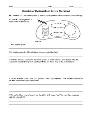 Photosynthesis Review Worksheet  Form