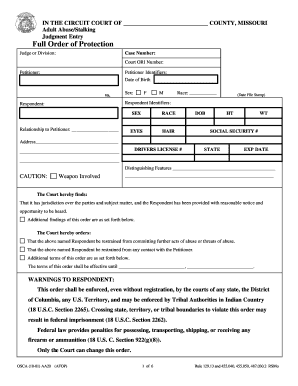 Full Order of Protection Missouri Courts Mo  Form