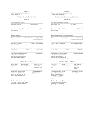 P 171 Probate Court Act 84 9 Application for Letters Gnb  Form