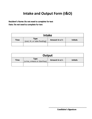 Intake and Output Form I O Prometric