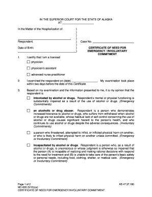 In the SUPERIOR COURT for the STATE of ALASKA at in the Matter of the Hospitalization of , Respondent  Form