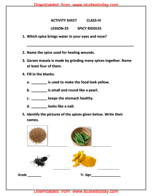 Spicy Riddles Worksheet  Form