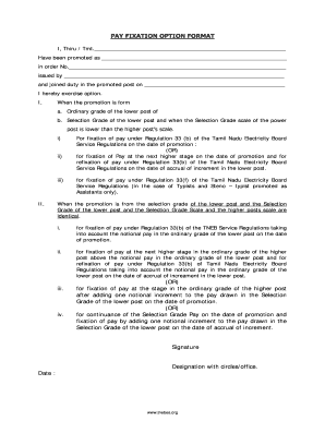 Option Form for Pay Fixation PDF