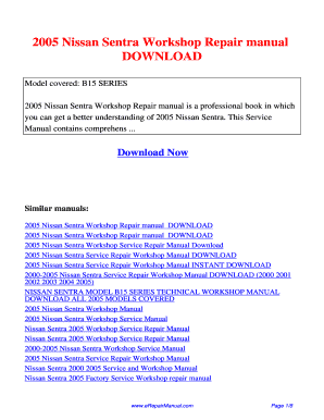 Nissan Sentra Repair Manual Download  Form