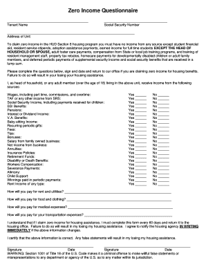 Zero Income Questionnaire  Form