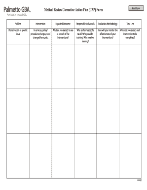 Palmetto Gba Corrective Action Plan Form