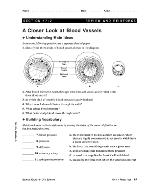 A Closer Look Answer Key  Form