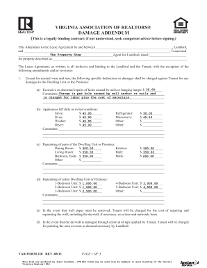 VAR Form 210 FL Edits 8 18 11doc