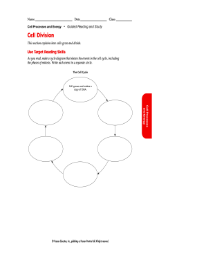 Cell Processes and Energy Guided Reading and Study Answer Key  Form