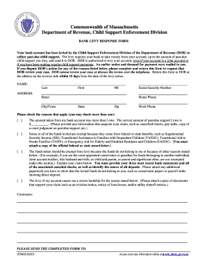 Bank Levy Response Form - Fill Out and Sign Printable PDF Template | signNow