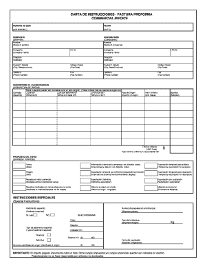 Carta De Instrucciones PDF  Form