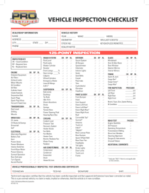 Autonation 125 Point Inspection Checklist  Form