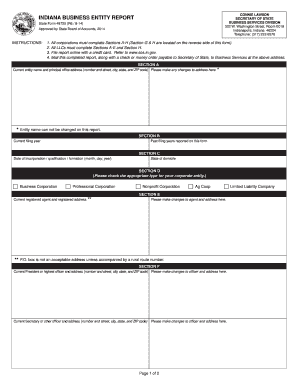 Business Entity Report  Form
