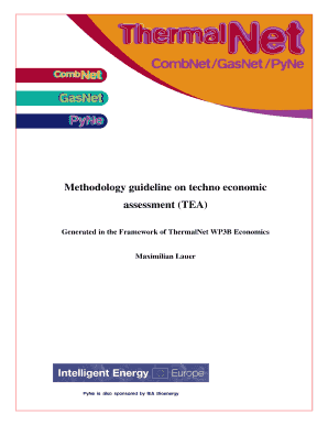 Methodology Guideline on Techno Economic  Form