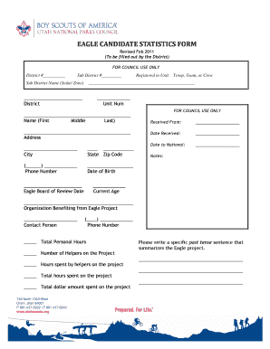 EAGLE CANDIDATE STATISTICS FORM Eagle Springvillescouts