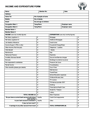 Income and Expenditure Form