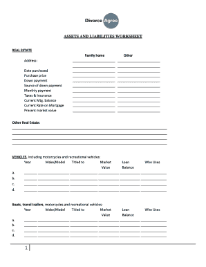 Divorce Assets Liabilities Worksheet  Form