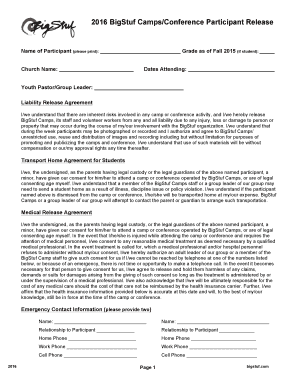 BigStuf Consent Form