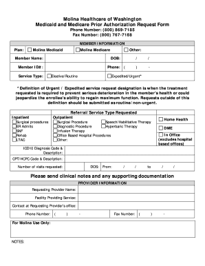 Molina Prior Authorization Form