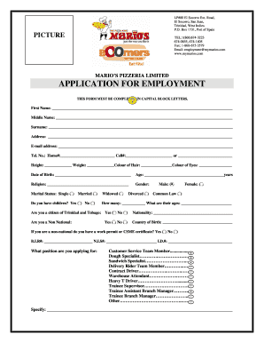 Mario&#039;s Application Form