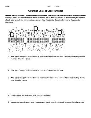 A Parting Look at Cell Transport  Form