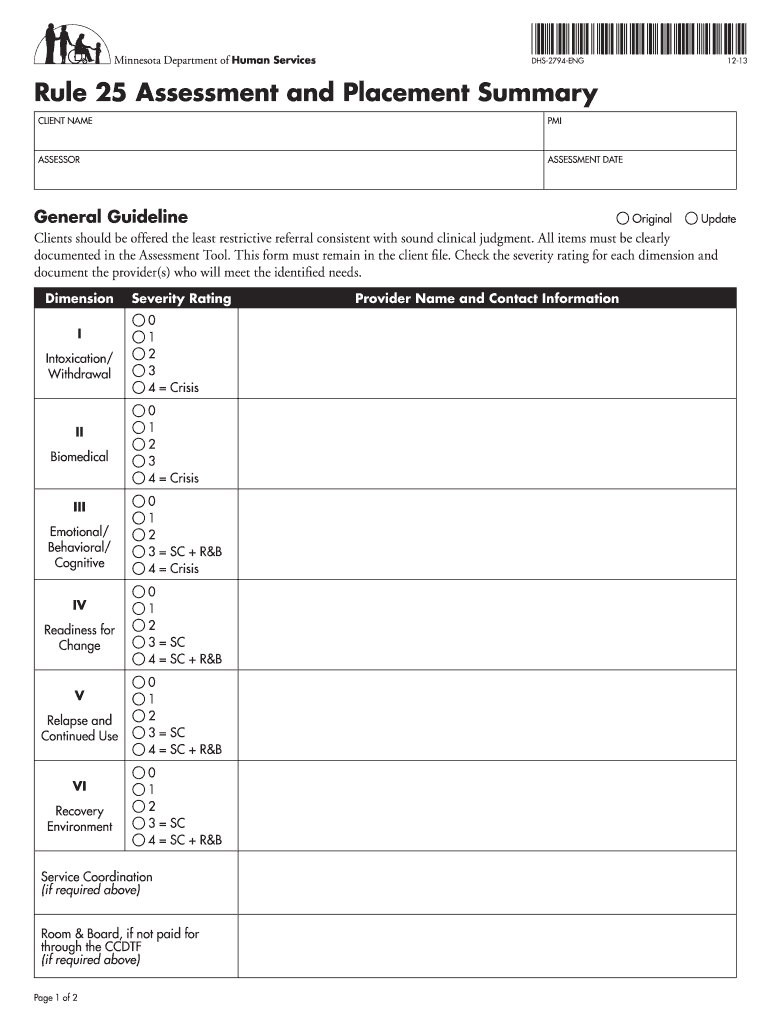 Summary Placement  Form