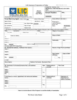 Lic Merchant Form