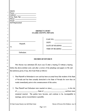 Divorce Decree Nokidsdocx  Form