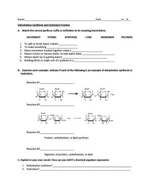 Dehydration Synthesis and Hydrolysis Worksheet  Form